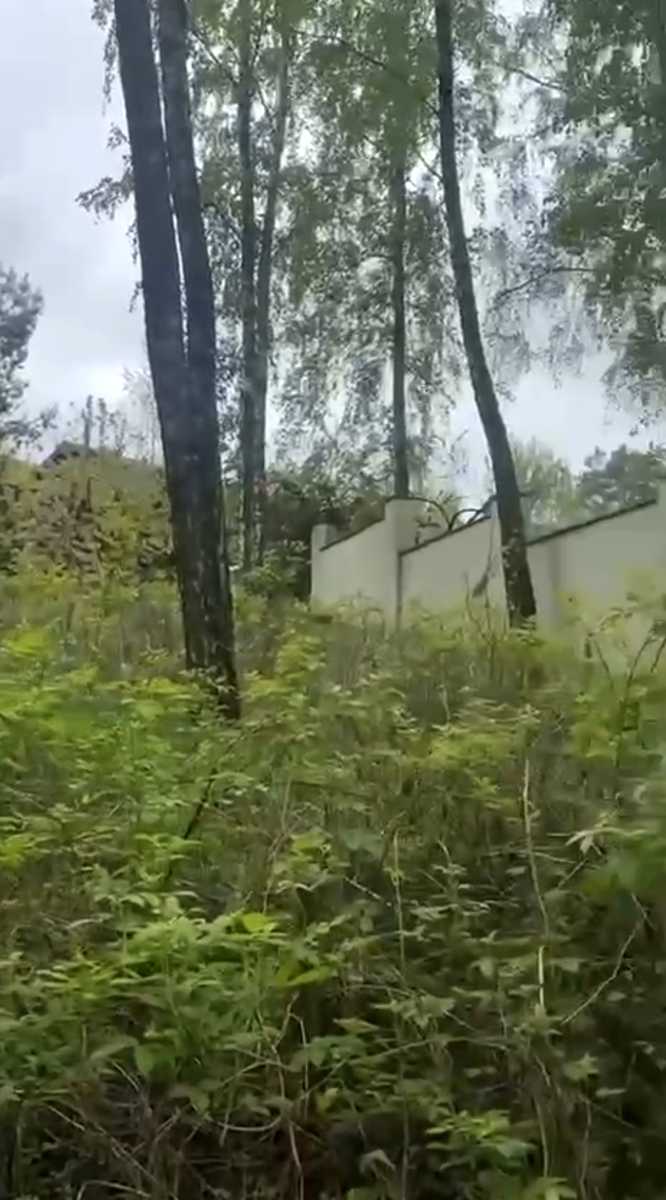 1875316889335701