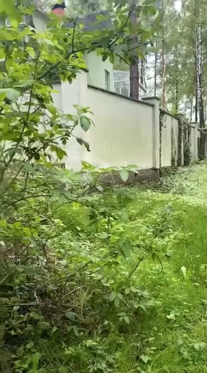 1875316889410964