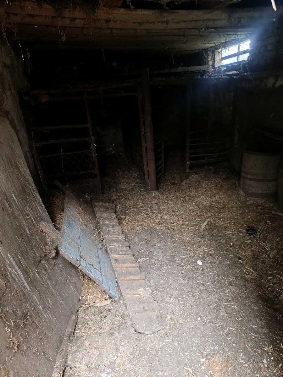 1875321306196987
