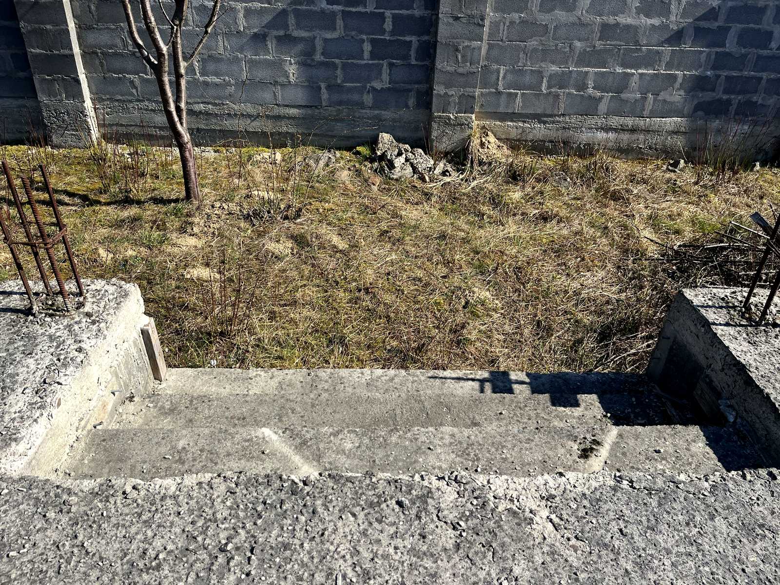 1875332803329450