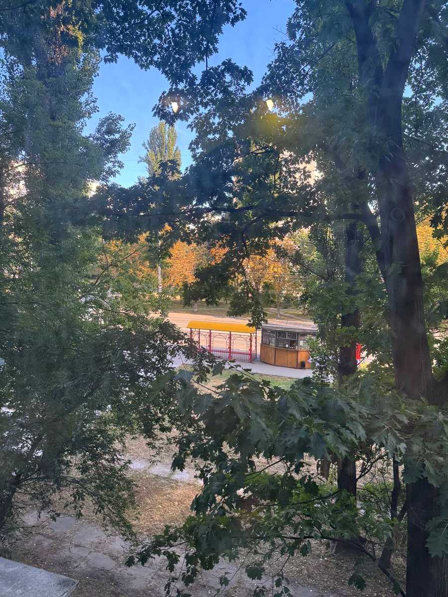 1875387103246353