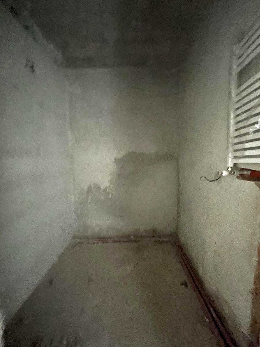 1875392551003764