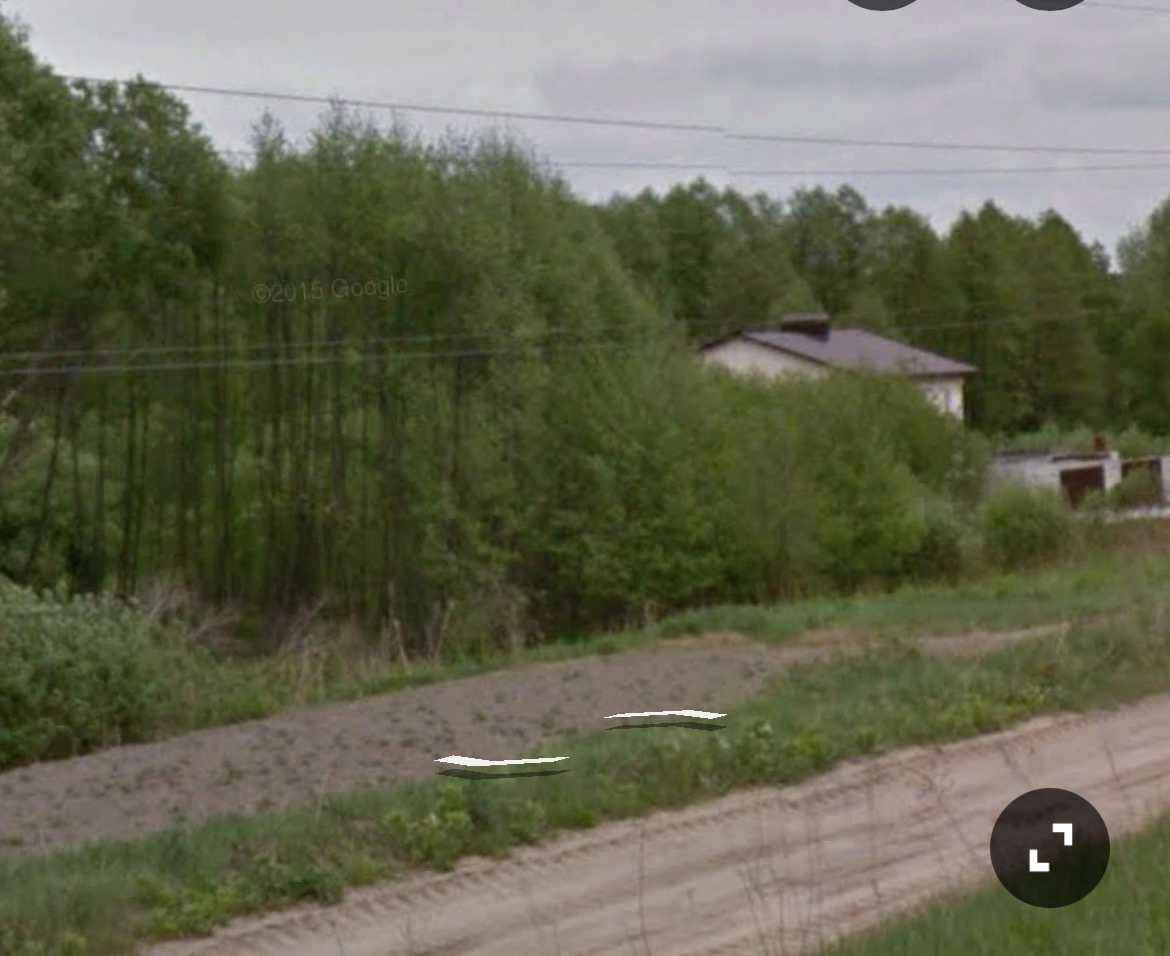 1875397033275918