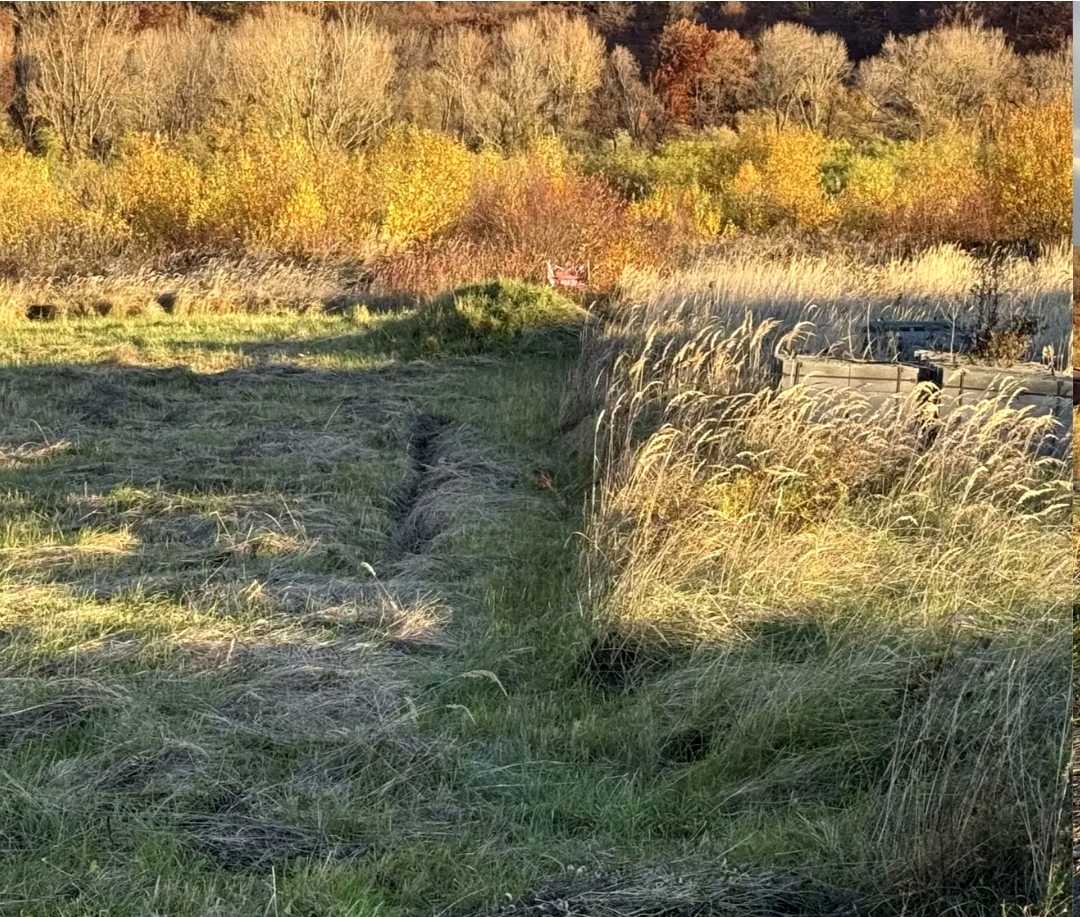 1875408786426597