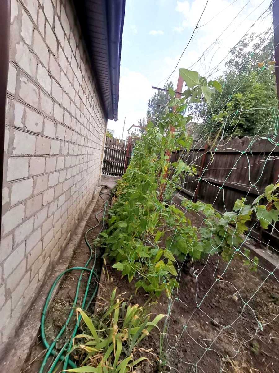 1875418020360077