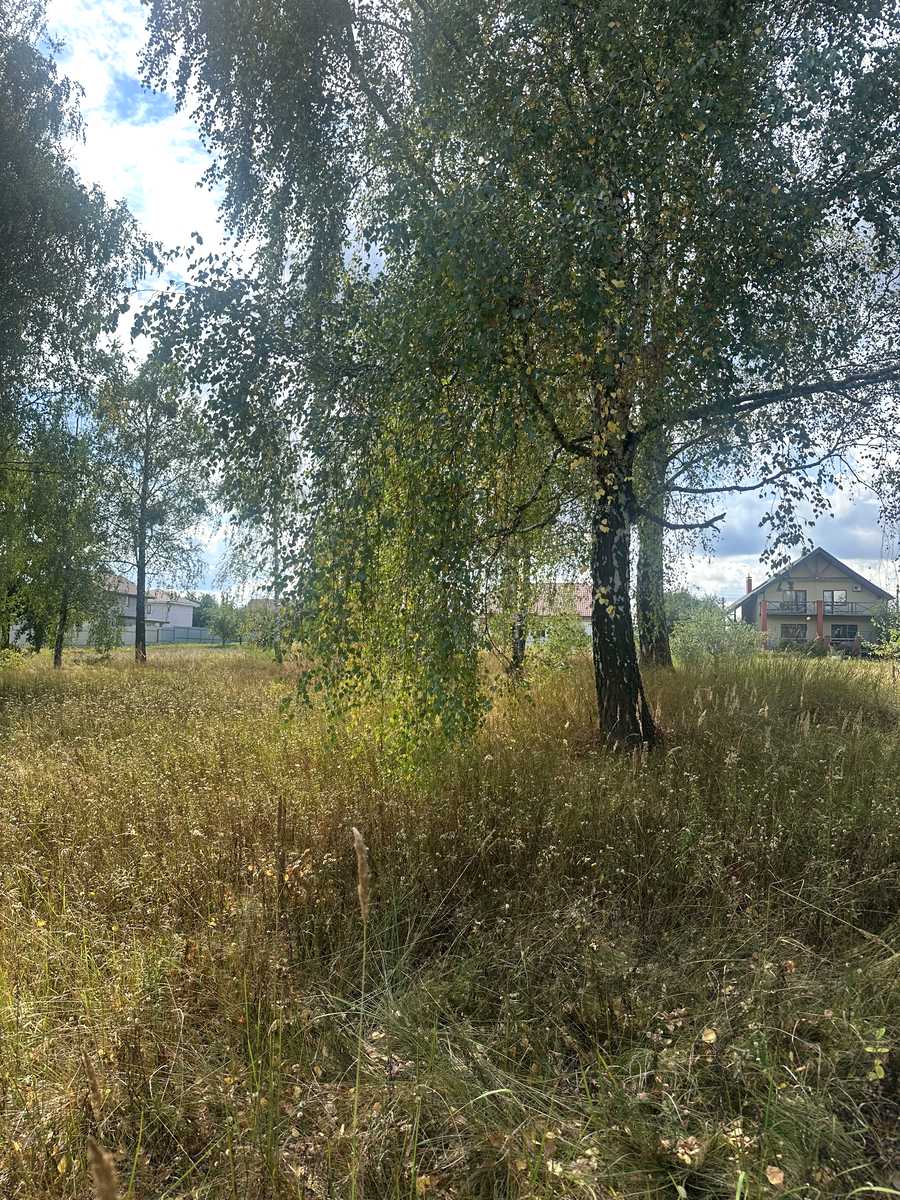 1875473008608204