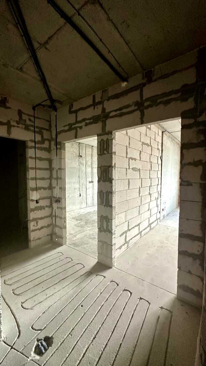 1875485660006593.jpg