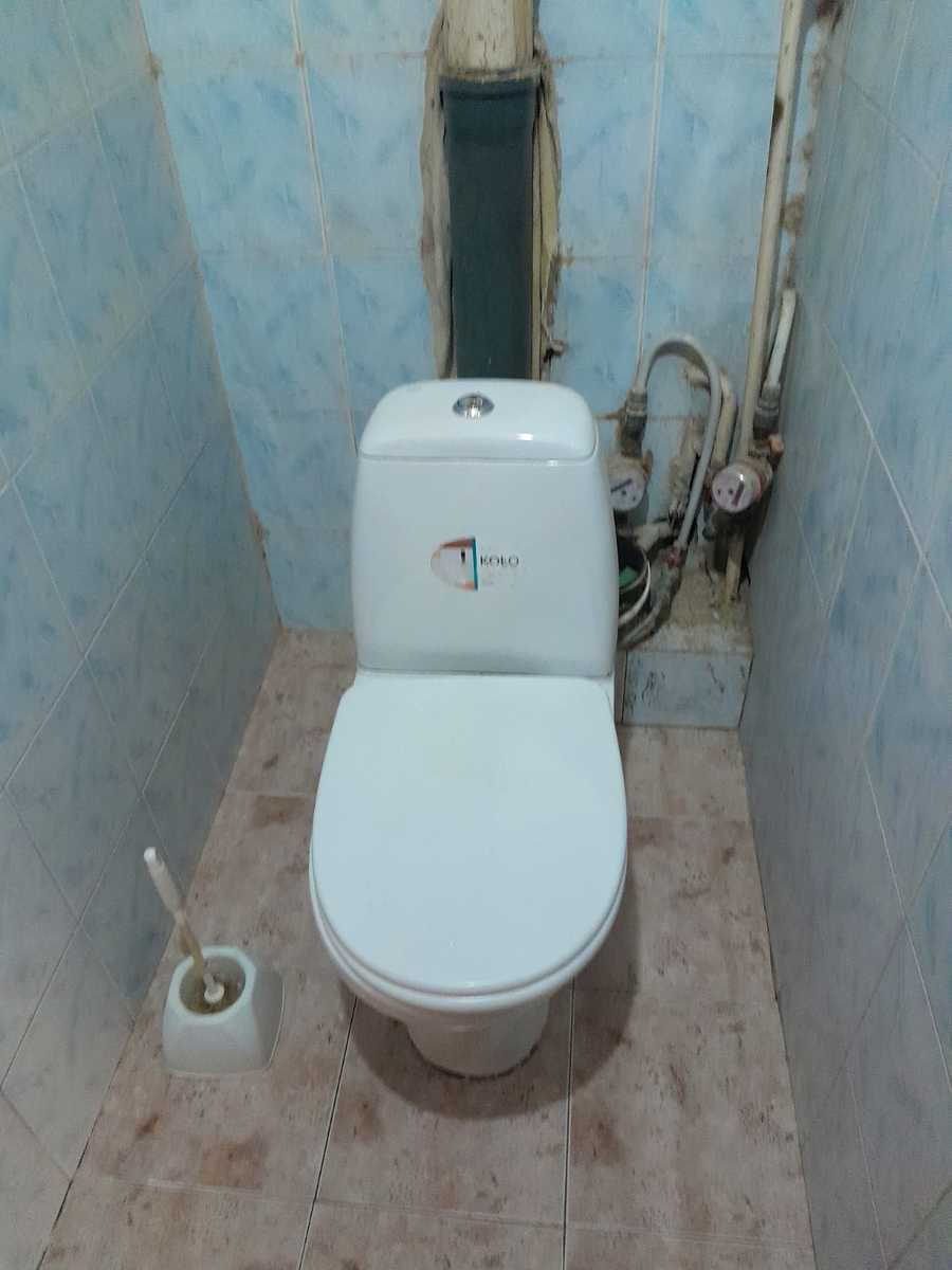 1875578484007233