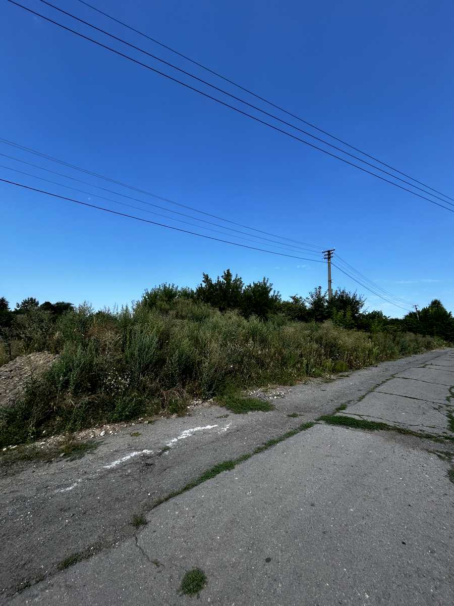 1875662987238068