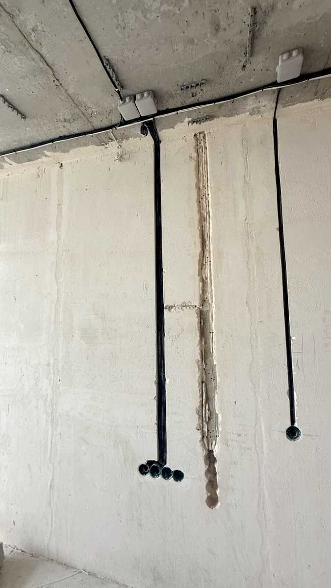 1875666741471569