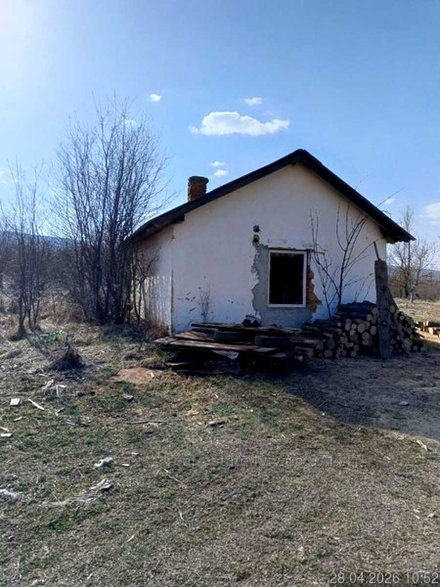 1875685687705688.jpg