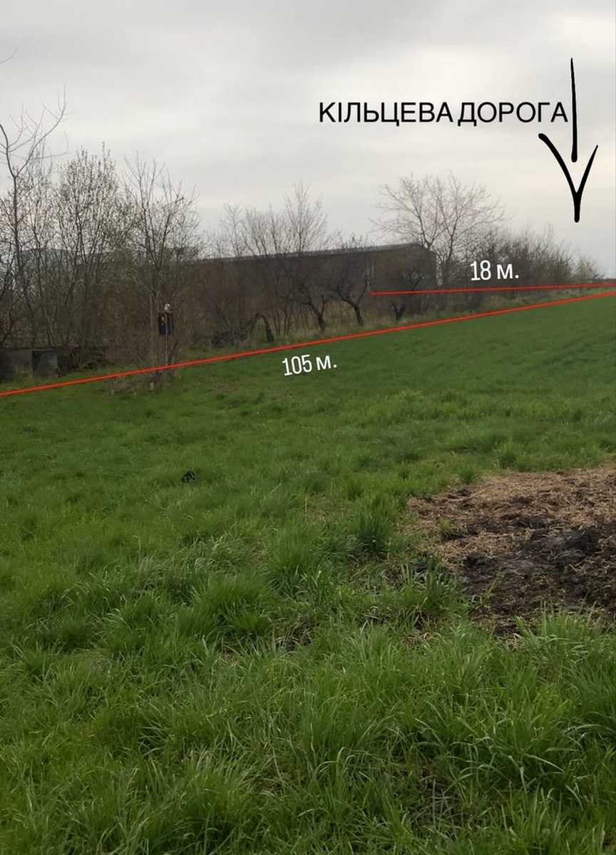1875686813497212.jpg