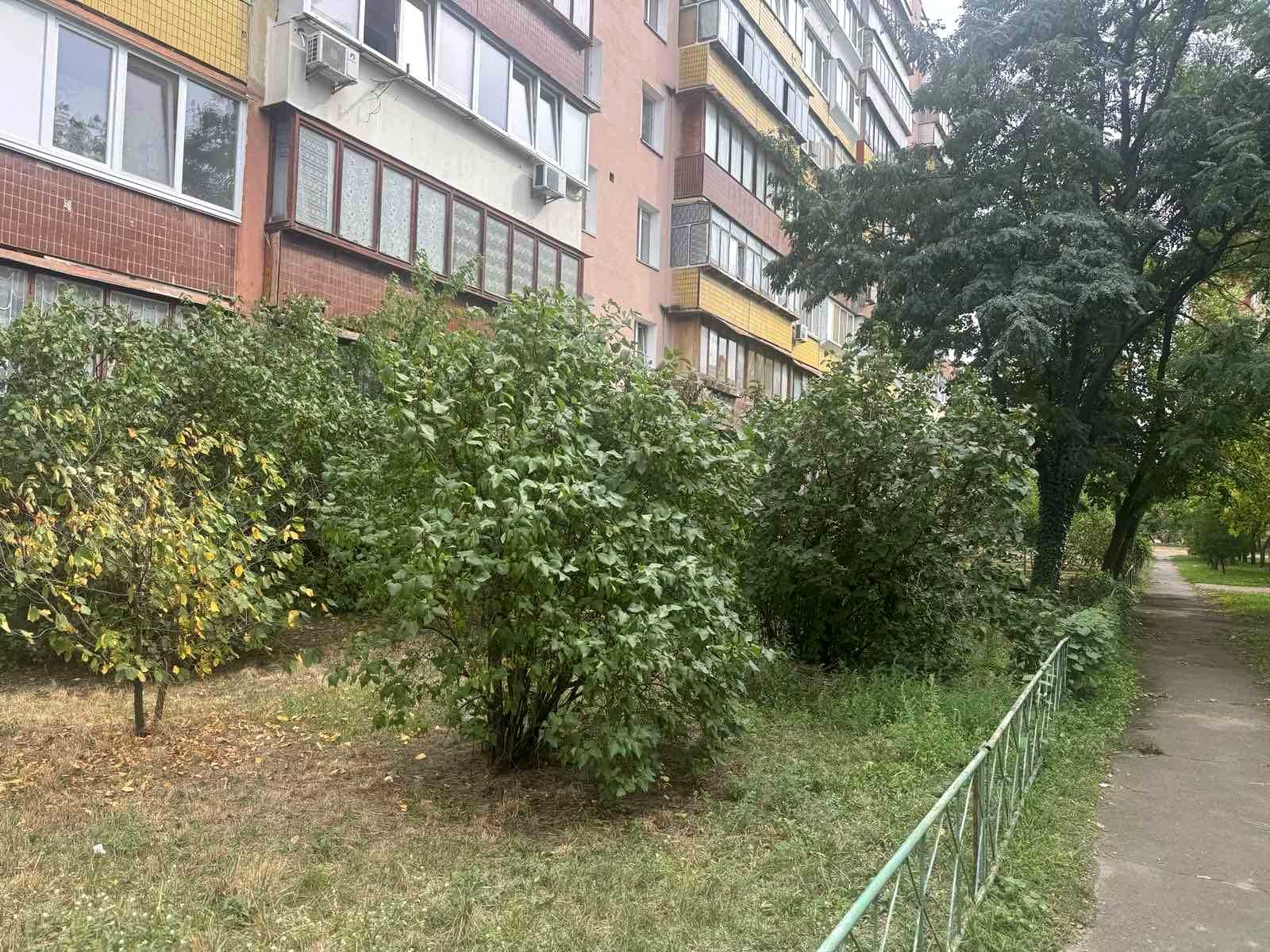 1875740678884387