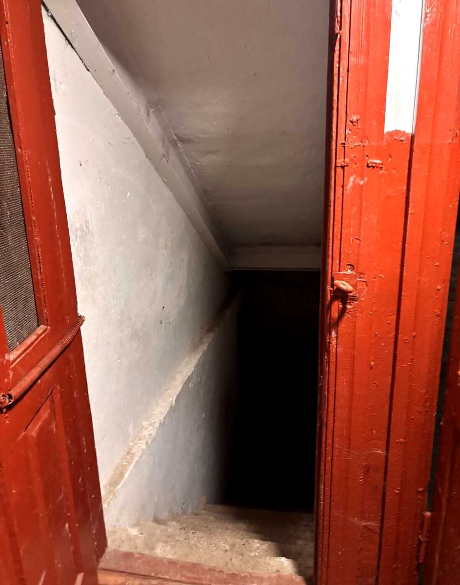 1875748987286444