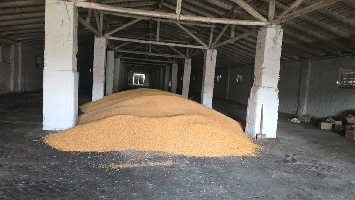1875762418895672