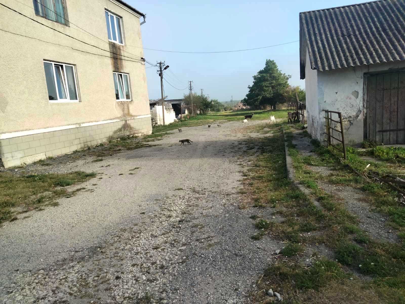 1875773809128358