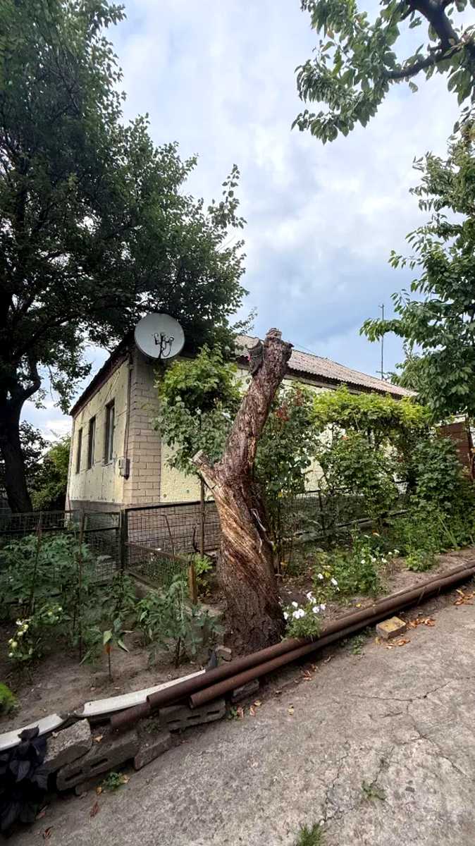 1875781786830872