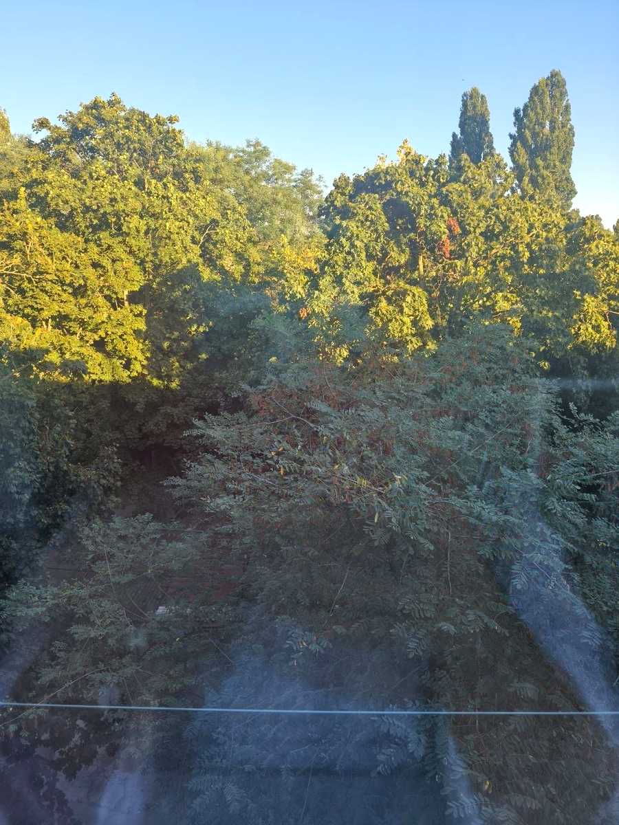 1875788043146756