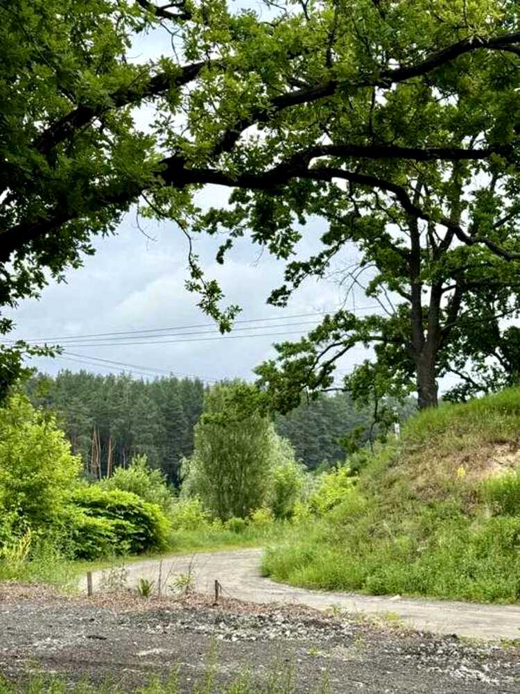 1875794970555938