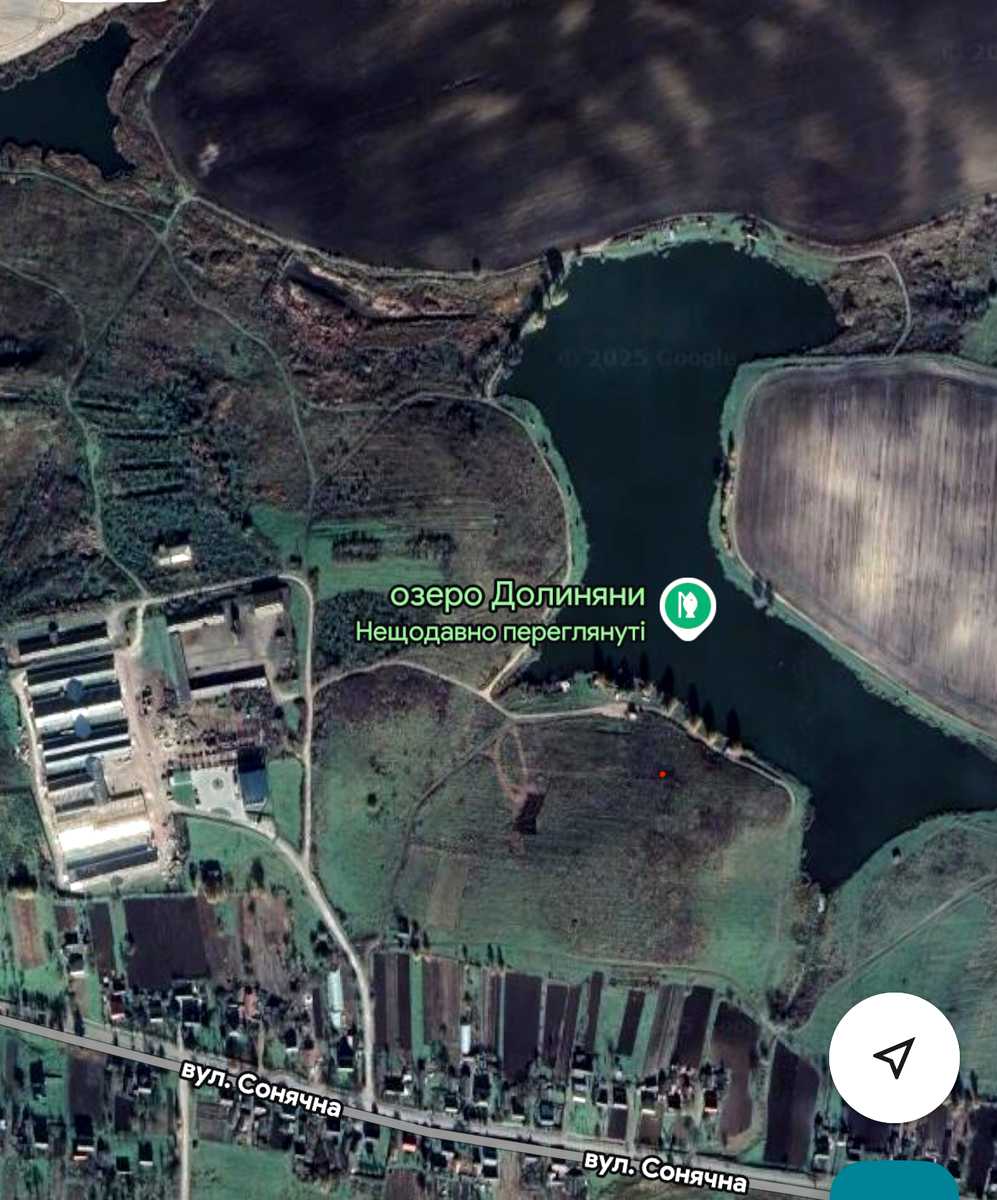 1875798764785771