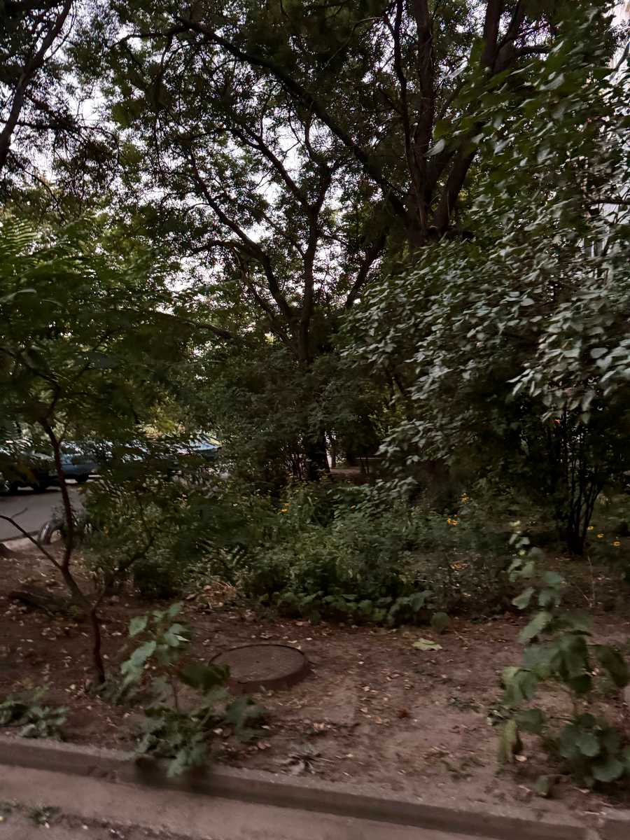 1875828550003457