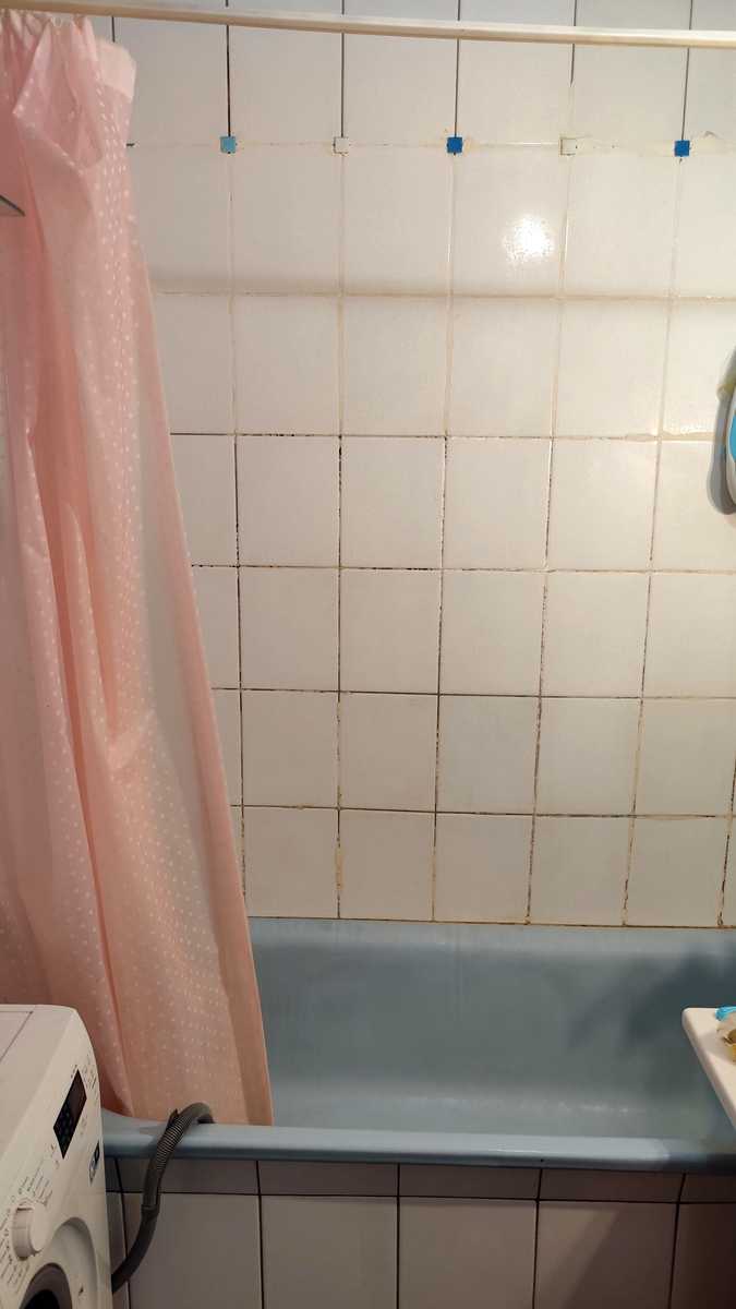 1875834214660516