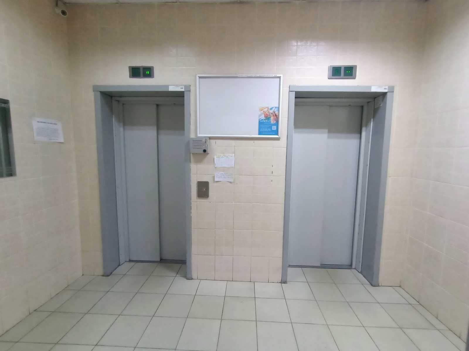 1875838011292252