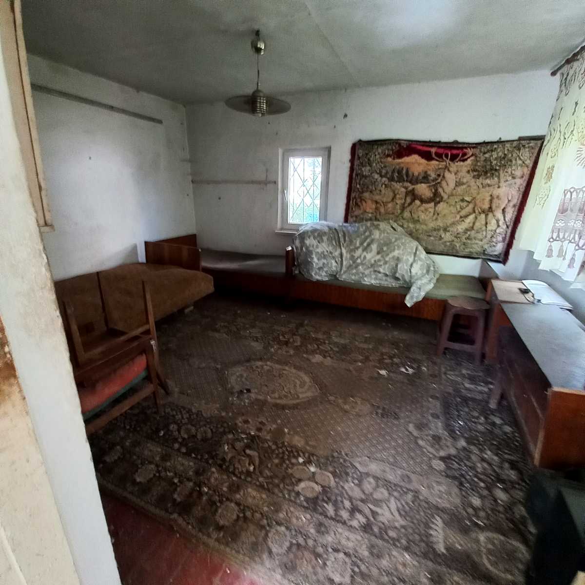 1875838516217833