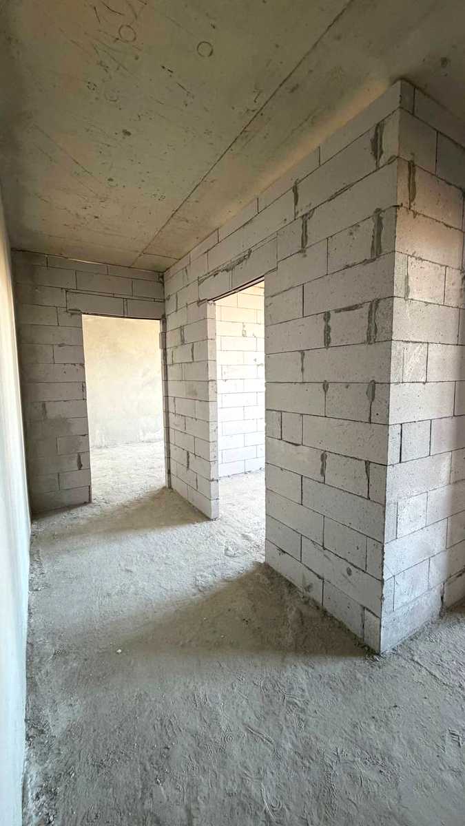 1875853728055569