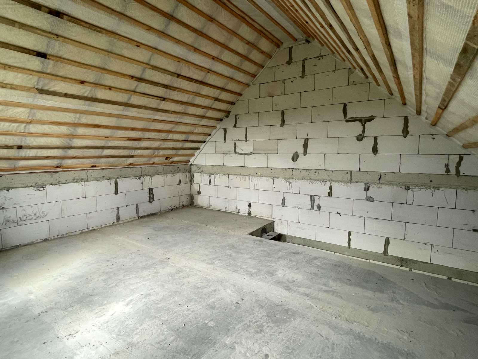 1875855994808224