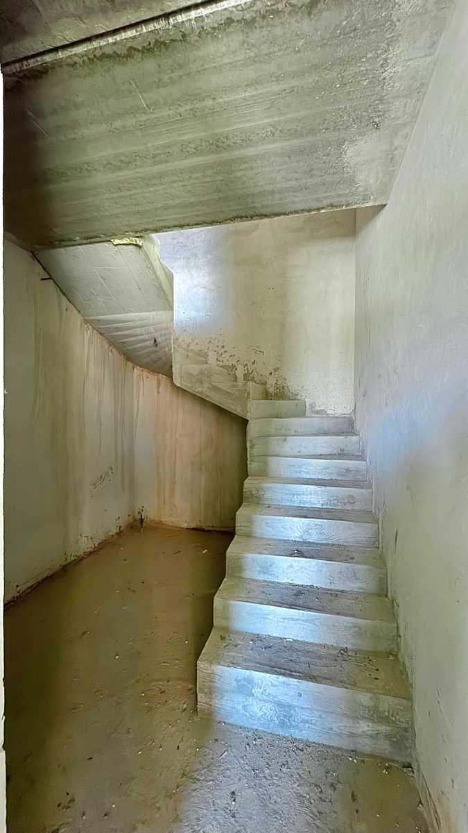 1875866294459070