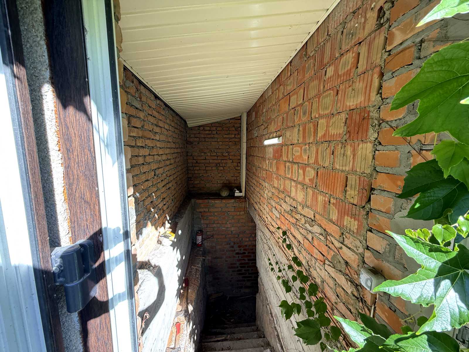 1875872989245405