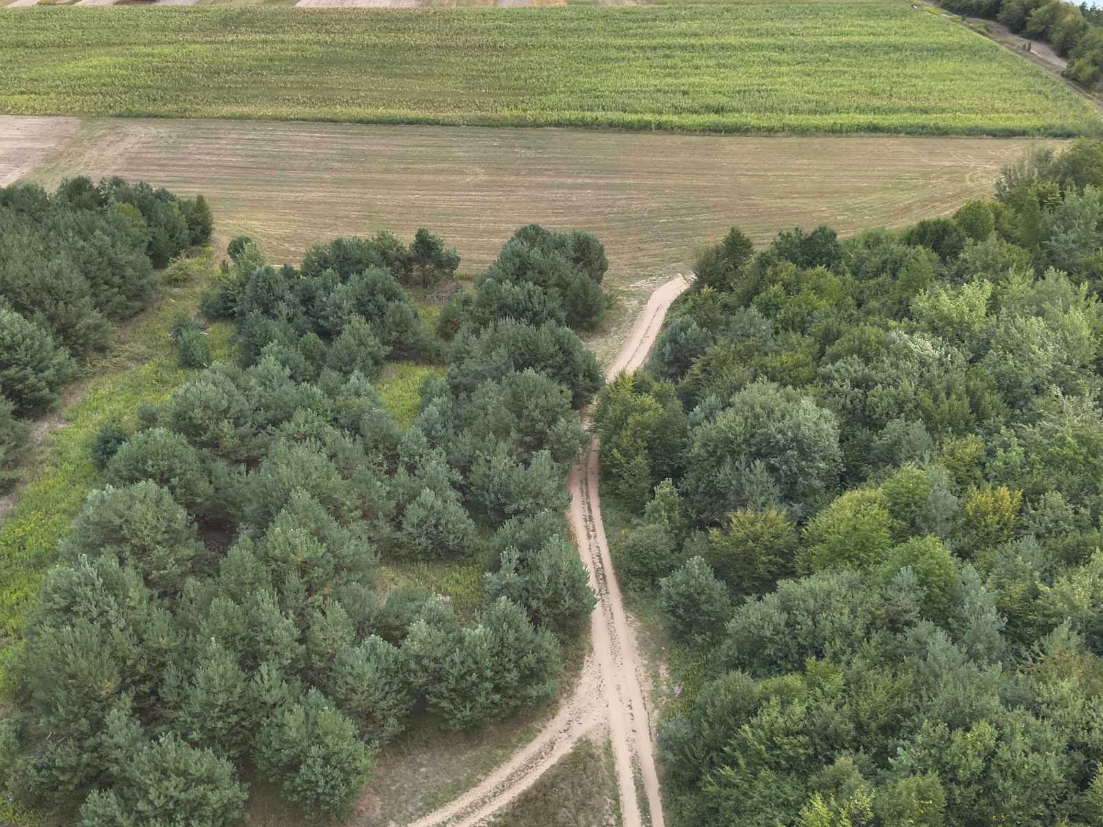 1875925303947732