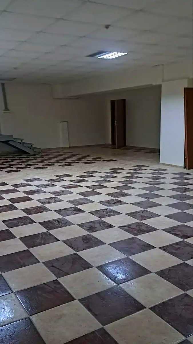 1875935565101521