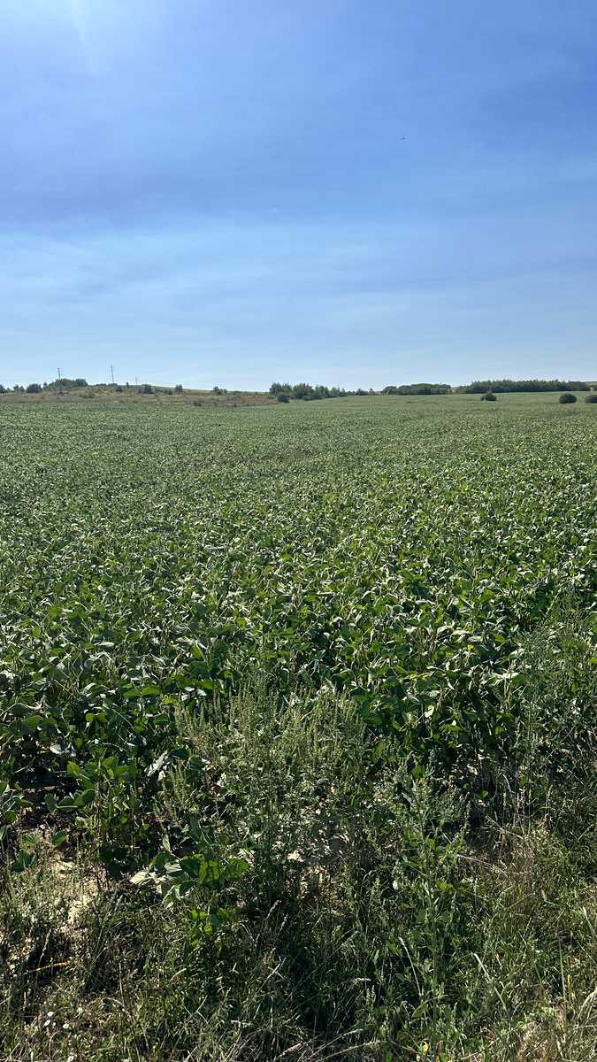 1875935618488521