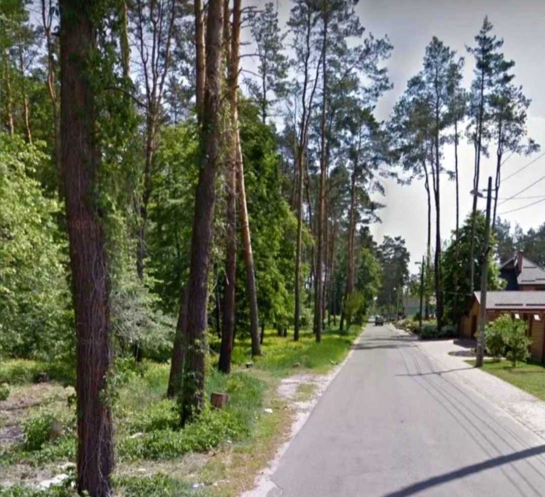 1875942959647981