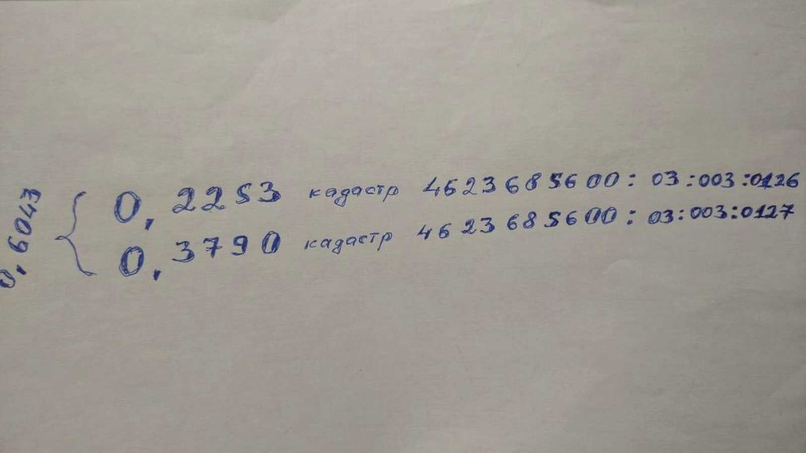 1875949933119600.jpg
