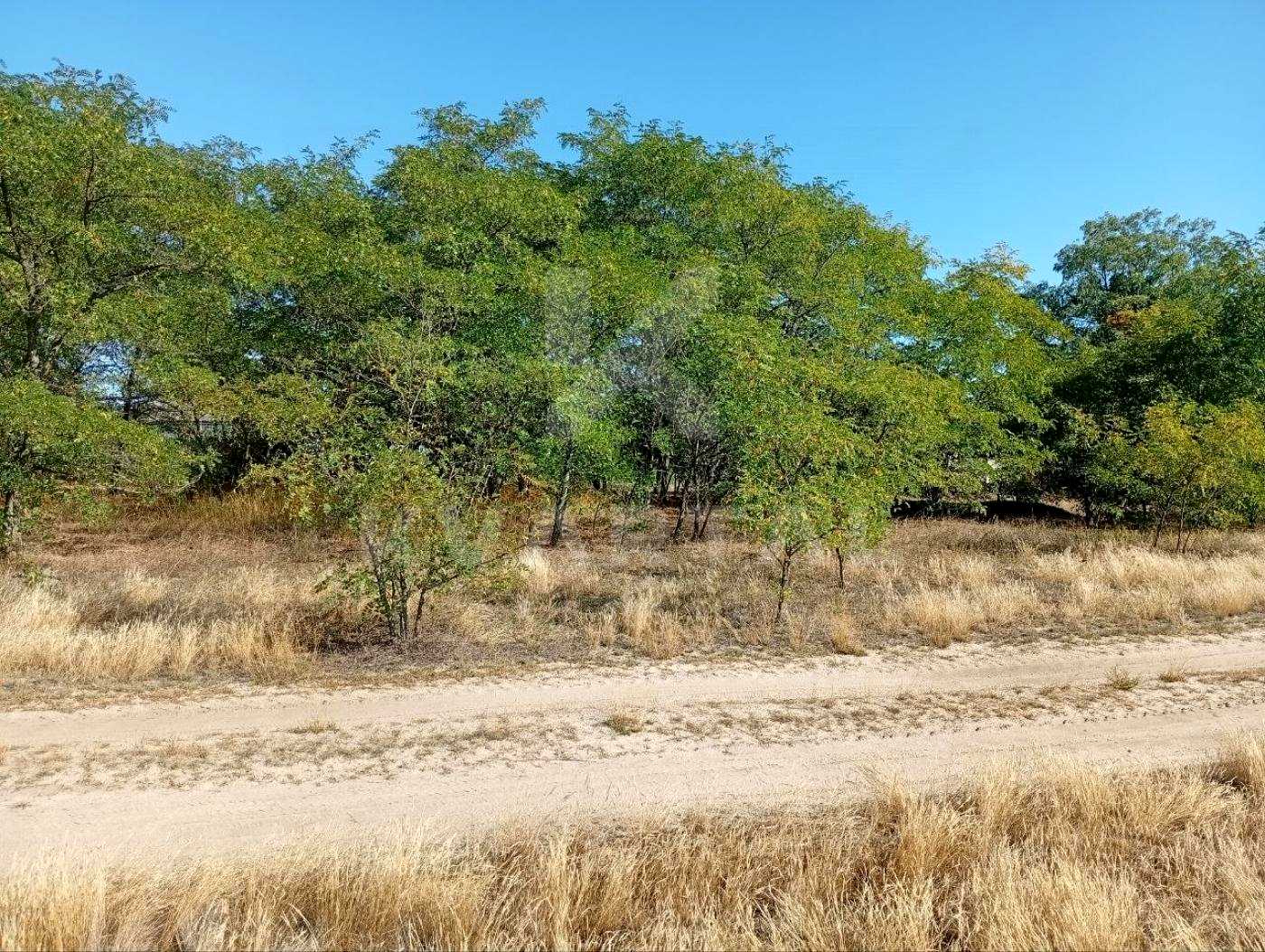 1875950872410046