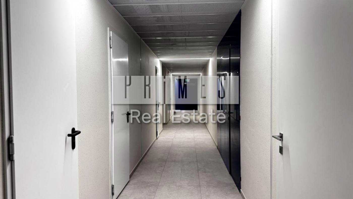 1875951264884254