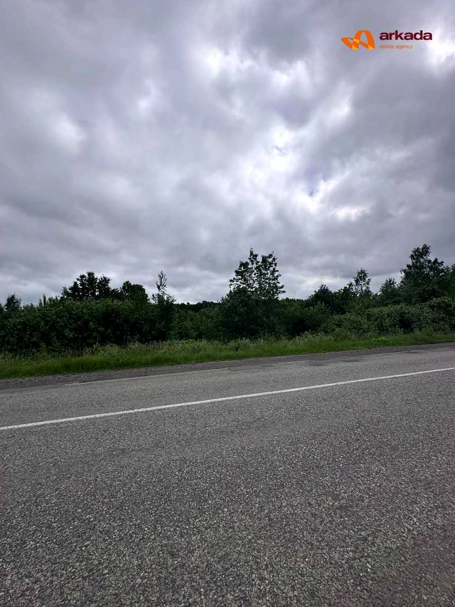 1875951458130335