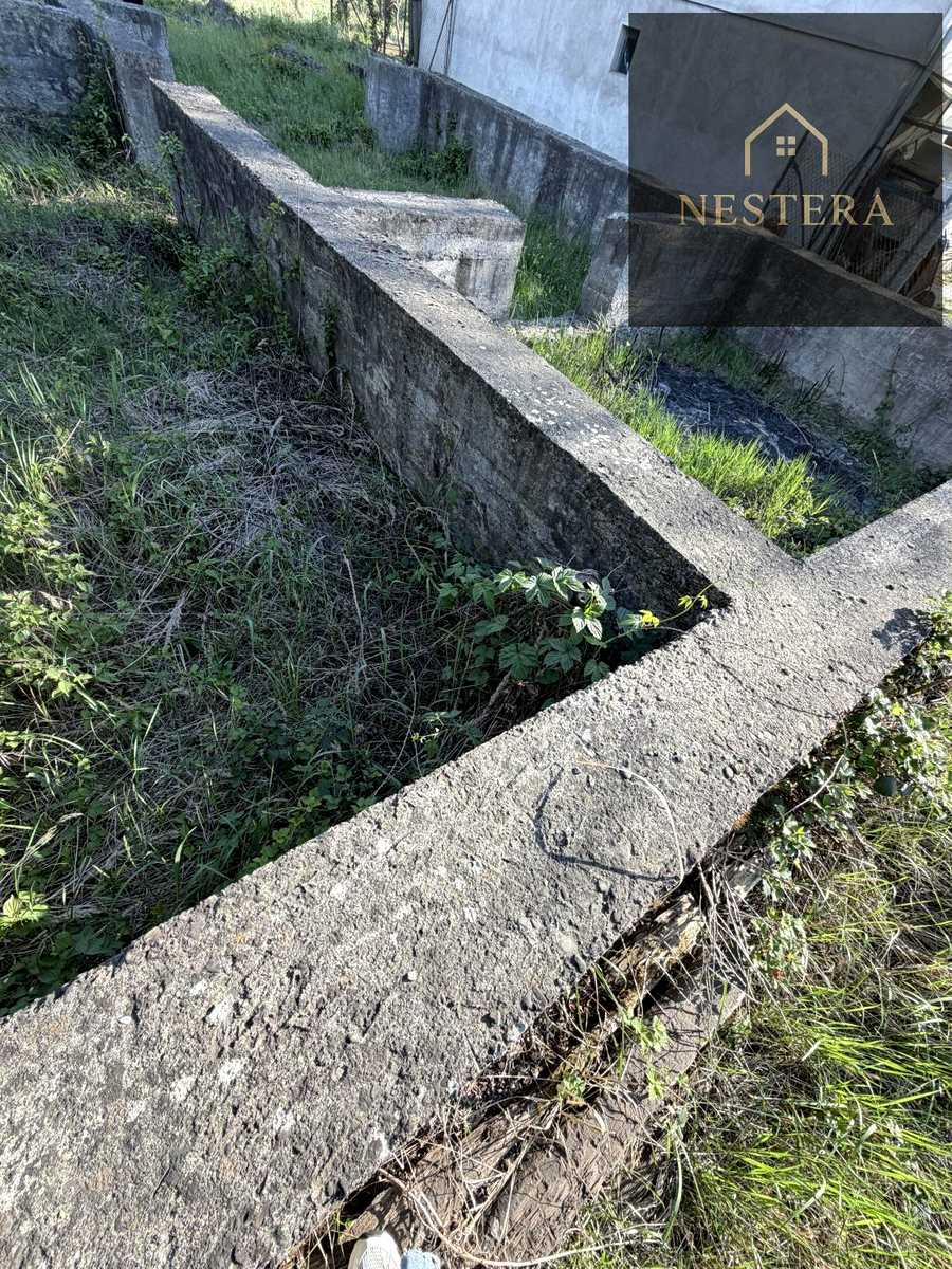 1875978330821449.jpg
