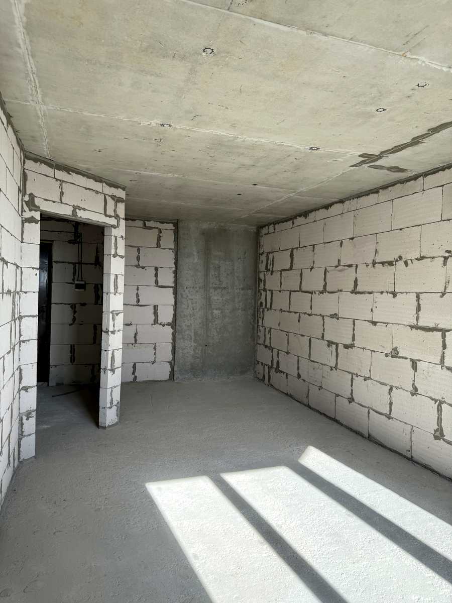 1876020769294753