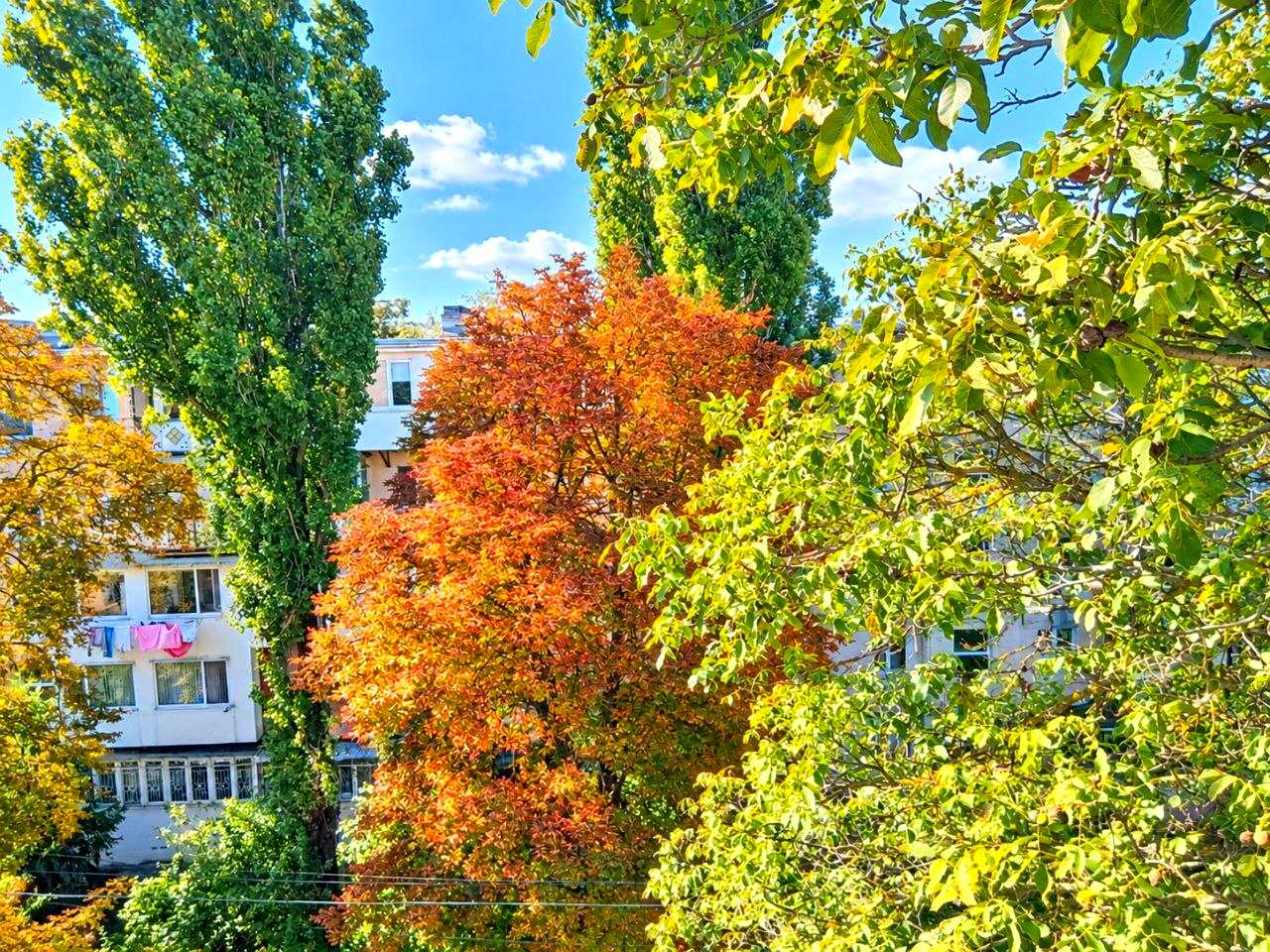 2-кімнатна квартира за адресою Місячний пров. (площа 40 м²) - фото 2 2-кімнатна квартира за адресою Місячний пров. (площа 40 м²) - Atlanta.ua - фото 2