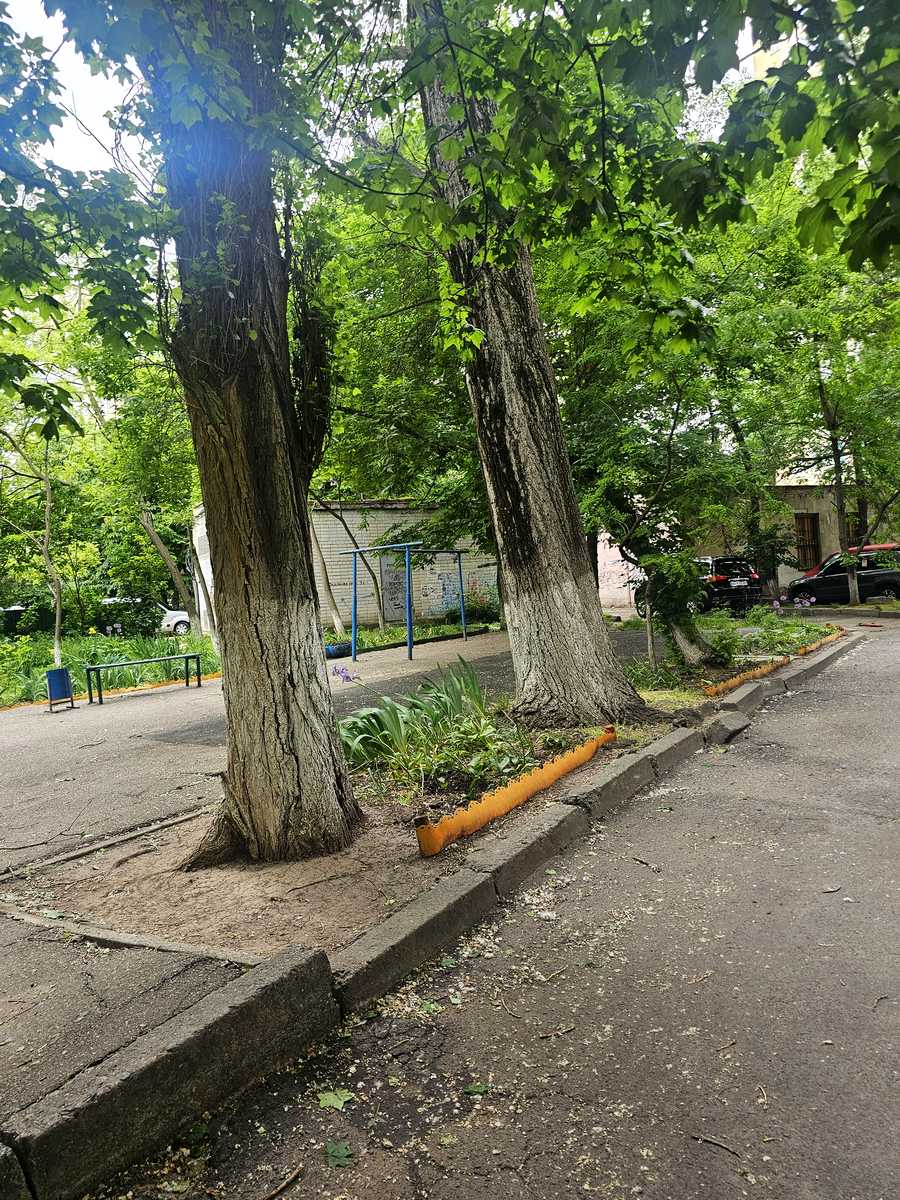2-кімнатна квартира за адресою вул. Каманіна (площа 52 м²) - фото 9 2-кімнатна квартира за адресою вул. Каманіна (площа 52 м²) - Atlanta.ua - фото 9