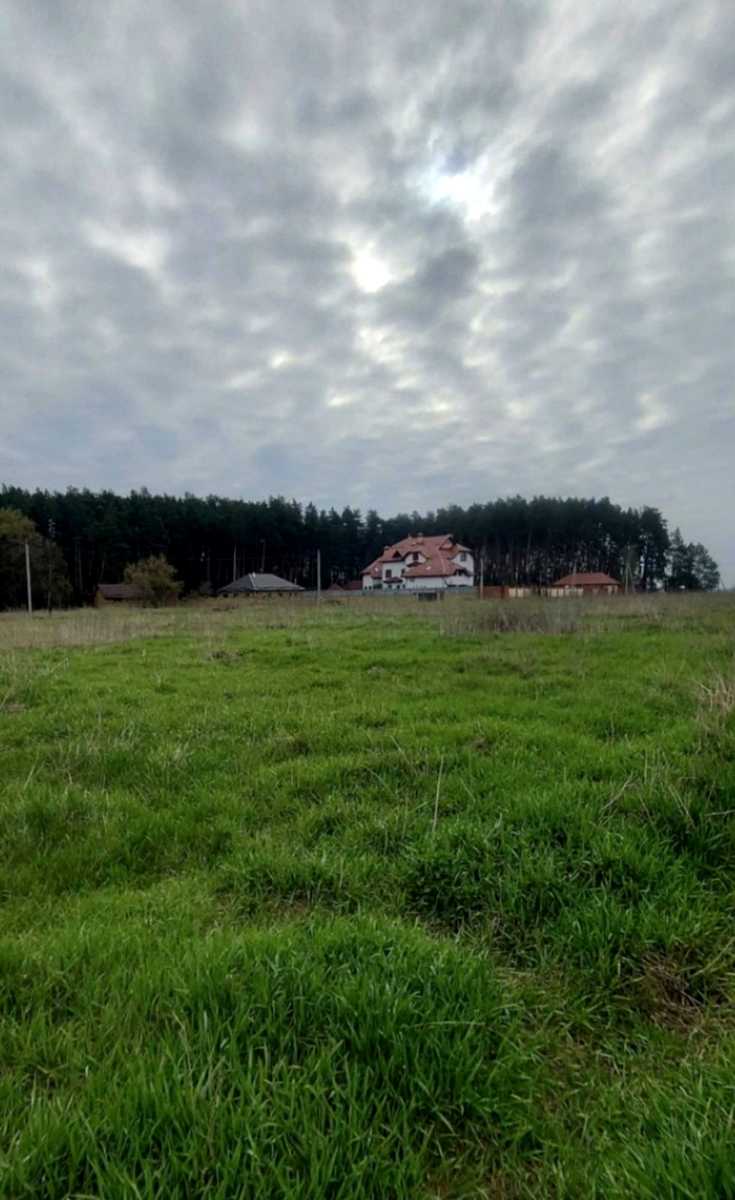 1876031378277410