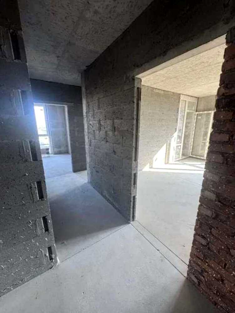 1876040185329938