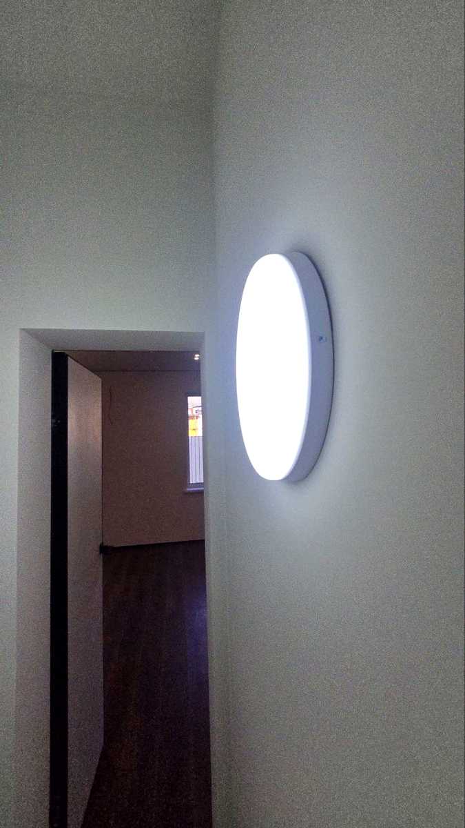 1876054370839601