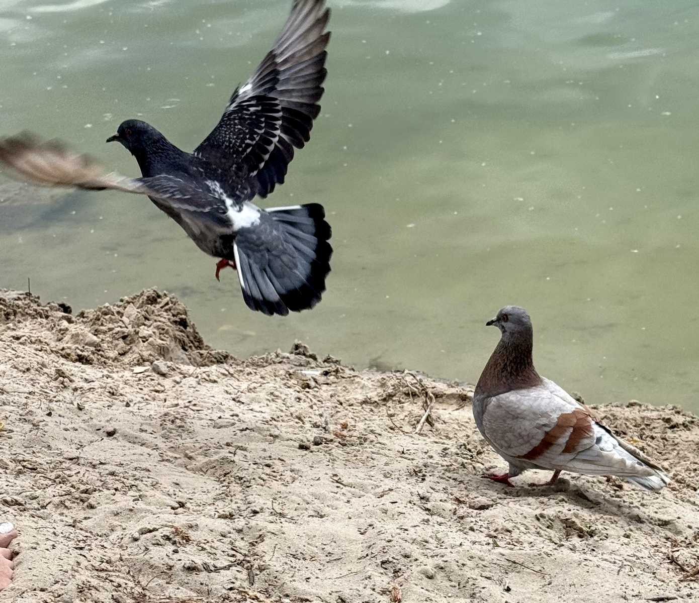 1876134526874827