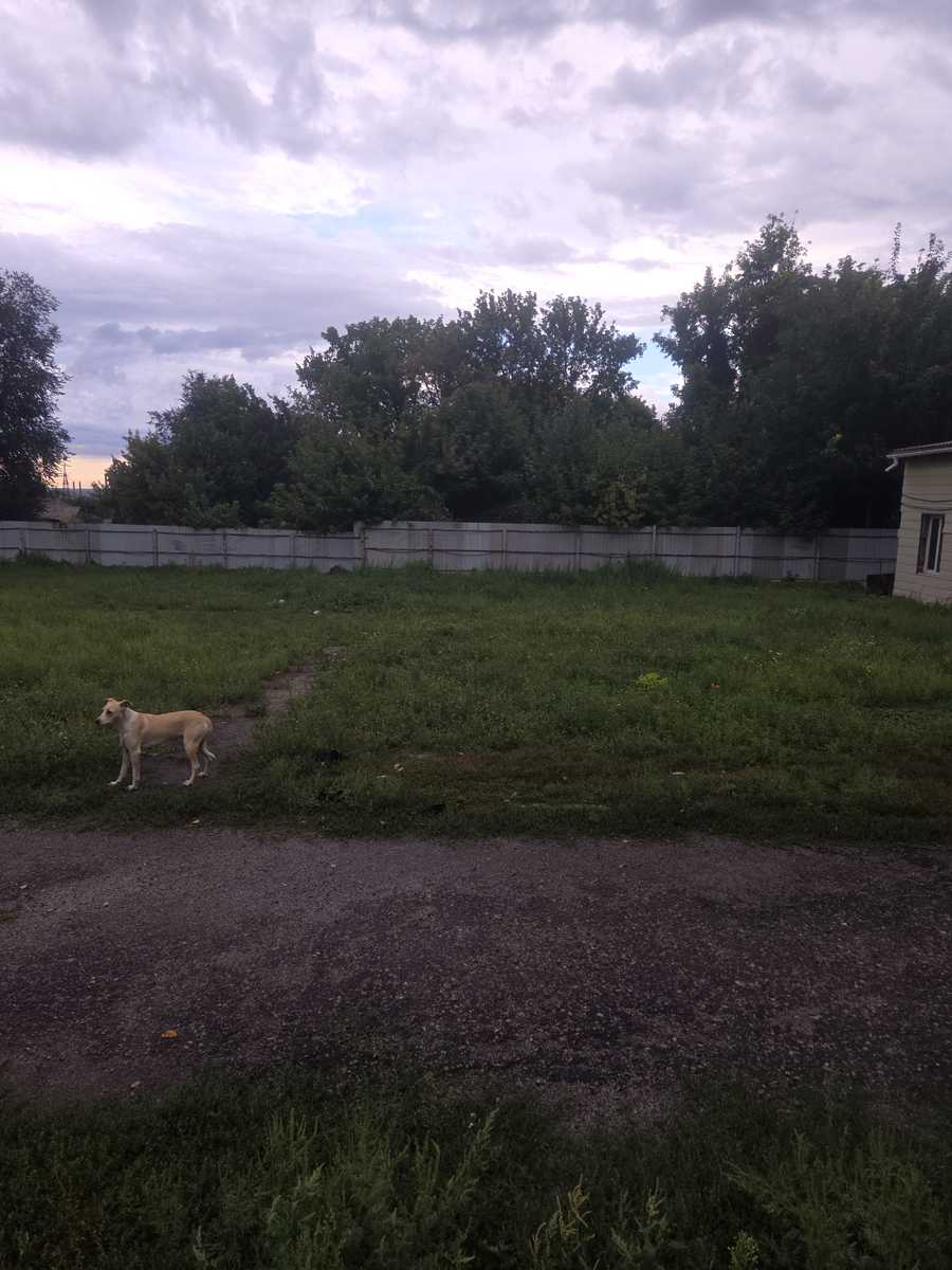 1876168487822771