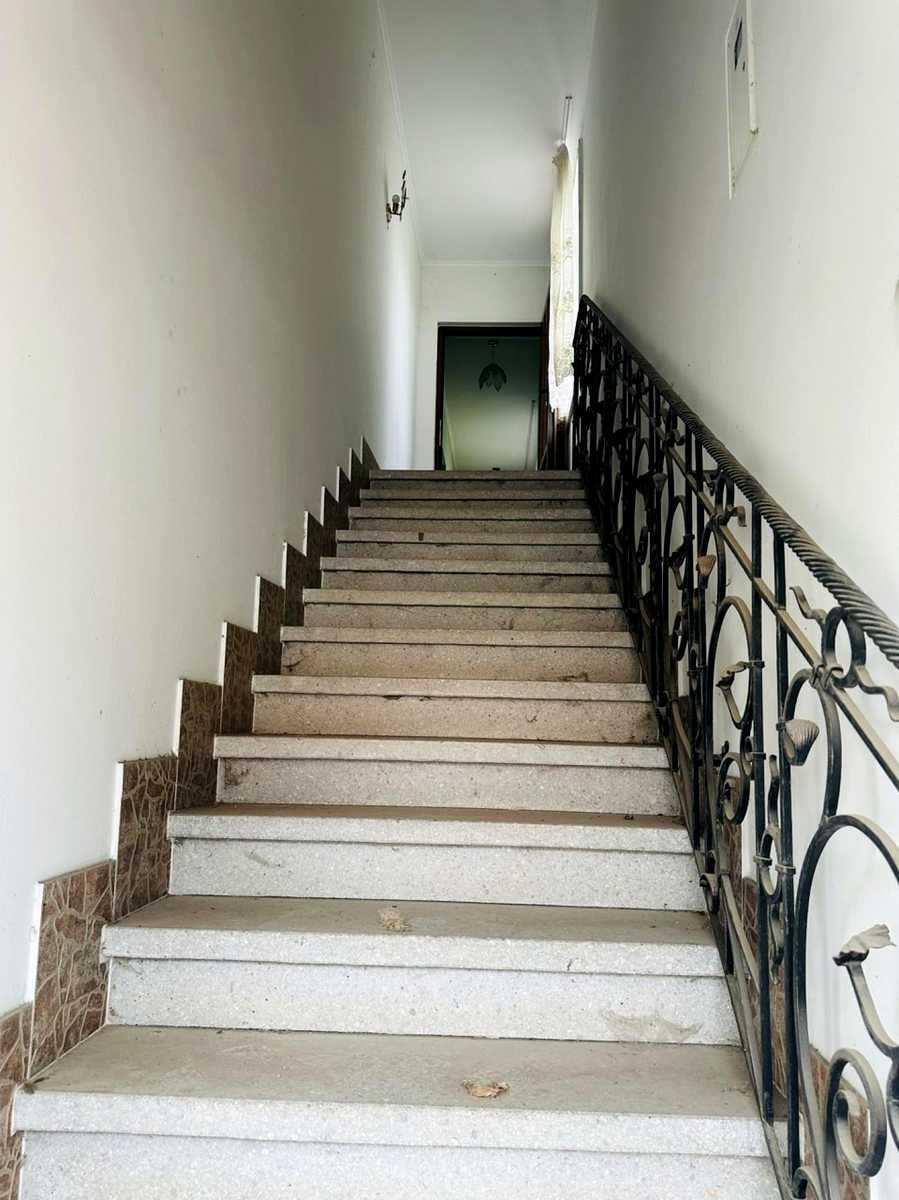 1876196895341490.jpg